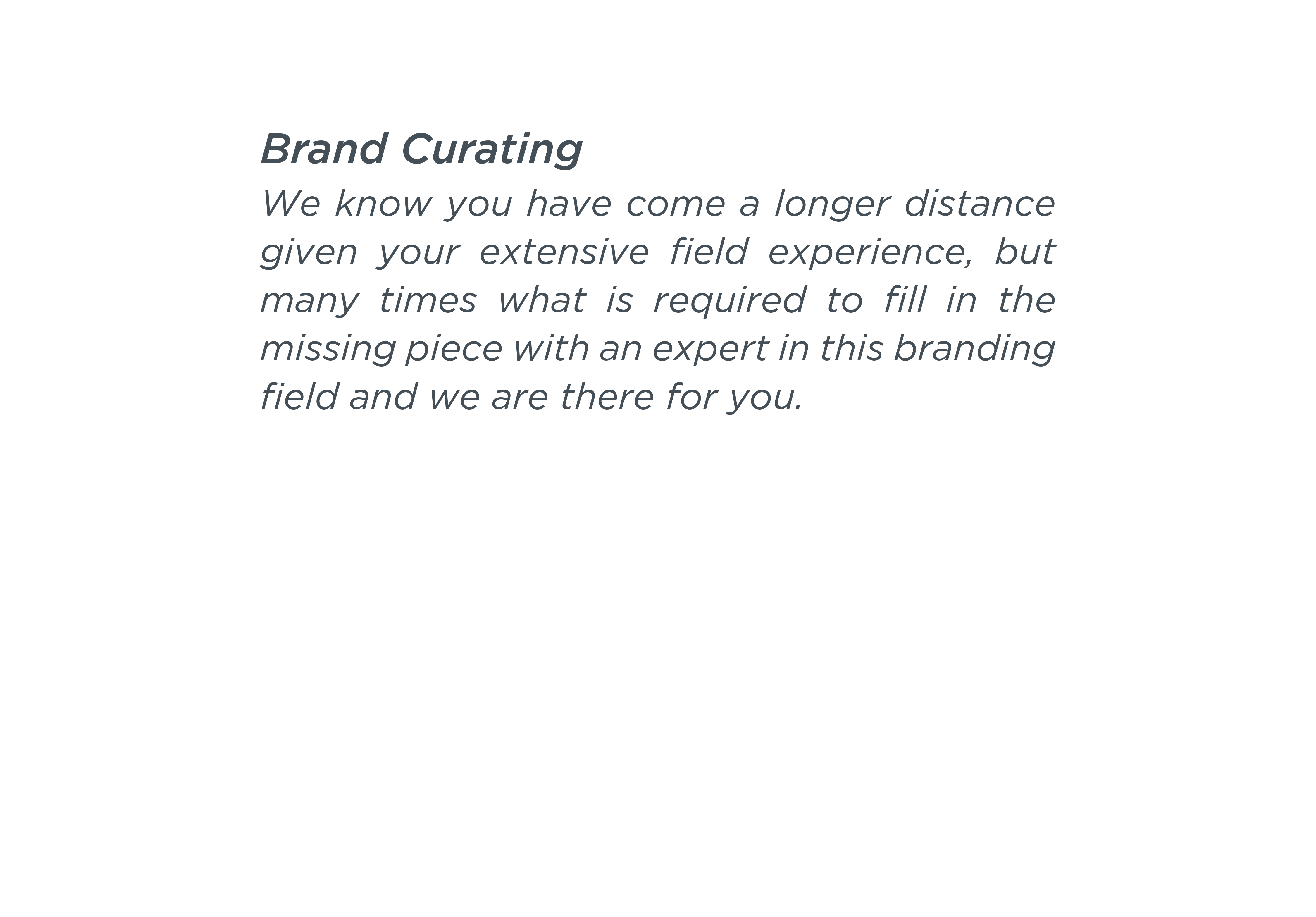 ArtSEO Service Brand Curating